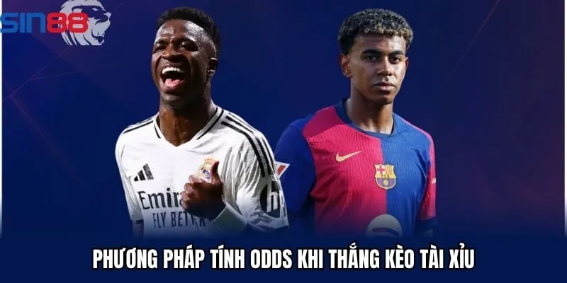 Phương pháp tính odds khi thắng kèo tài xỉu