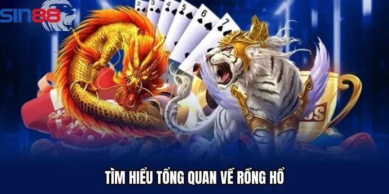 Tìm hiểu tổng quan về rồng hổ Sin88