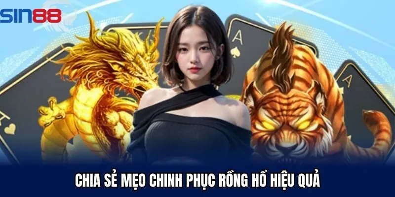 Chia sẻ mẹo chinh phục rồng hổ hiệu quả